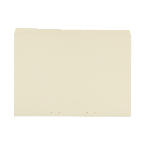 WKŁADKA ELBA SEGREGUJĄCA DO TECZEK WISZĄCYCH BEŻOWA