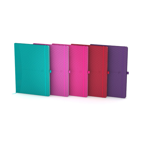 NOTATNIK OXFORD SIGNATURE B5/80K LINIA PASTELOWE KOLORY