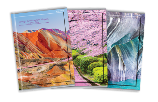 ZESZYT TOP 2000 GLOBE A4/60K KRATKA Z MARGINESEM