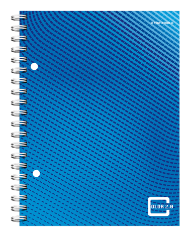 KOŁOBRULION TOP 2000 COLOR 2.0 A5/100K KRATKA Z MARGINESEM NIEBIESKI