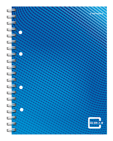 KOŁOBRULION TOP 2000 COLOR 2.0 A4/100K KRATKA Z MARGINESEM NIEBIESKI