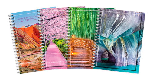 KOŁOZESZYT TOP 2000 GLOBE A4/100K KRATKA Z MARGINESEM