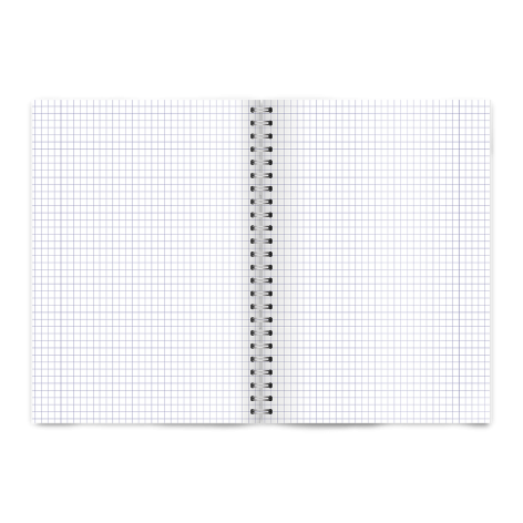 KOŁOZESZYT TOP 2000 MEGAMIX A4/80K KRATKA Z MARGINESEM