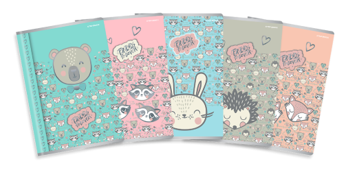 ZESZYT TOP 2000 FRIENDS FOREVER A5/32K LINIA PODWÓJNA KOLOROWA