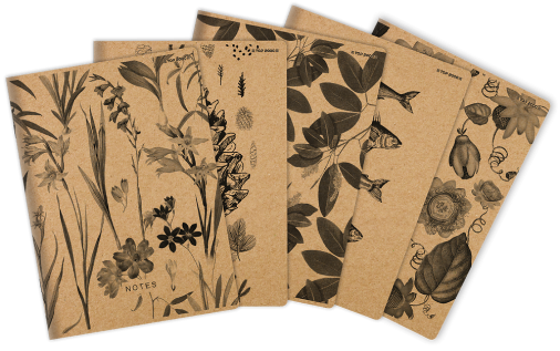 ZESZYT TOP 2000 GO GREEN A5/60K KRATKA Z MARGINESEM