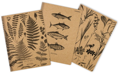 ZESZYT TOP 2000 GO GREEN A4/60K KRATKA Z MARGINESEM