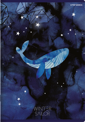 ZESZYT TOP 2000 WINTER SAILOR A5/60K KRATKA Z MARGINESEM