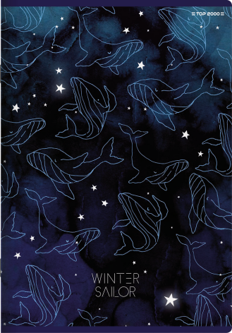 ZESZYT TOP 2000 WINTER SAILOR A5/80K KRATKA Z MARGINESEM