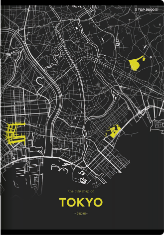 ZESZYT TOP 2000 MONOCHROME MAPPING A4/80K KRATKA Z MARGINESEM