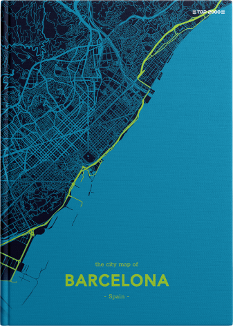 BRULION TOP 2000 MONOCHROME MAPPING A4/96K KRATKA Z MARGINESEM