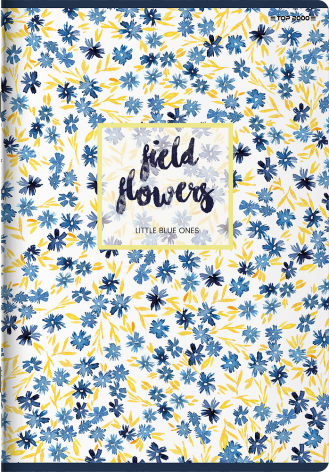 ZESZYT TOP 2000 MEGAMIX A4/60K LINIA Z MARGINESEM