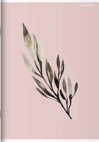 ZESZYT TOP 2000 MEGAMIX A4/96K KRATKA Z MARGINESEM