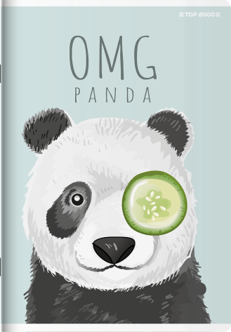 ZESZYT DO SŁÓWEK TOP 2000 MEGAMIX A6/32K KRATKA