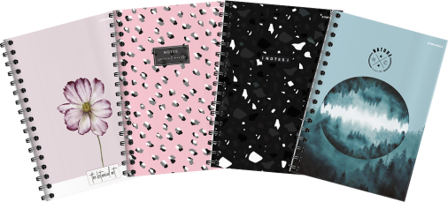 KOŁOZESZYT TOP 2000 MEGAMIX A4/80K KRATKA