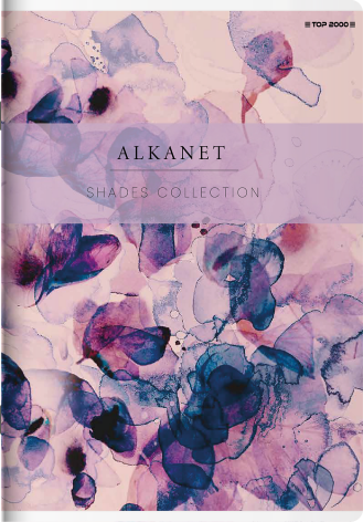 ZESZYT TOP 2000 SHADES A5/60K KRATKA Z MARGINESEM