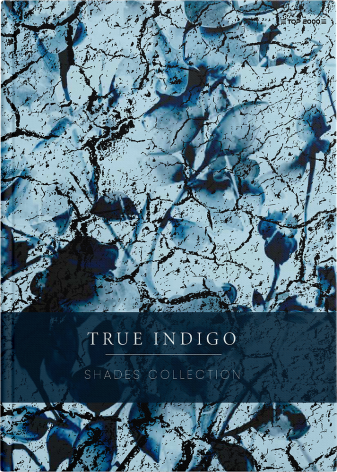 BRULION TOP 2000 SHADES A4/96K KRATKA Z MARGINESEM