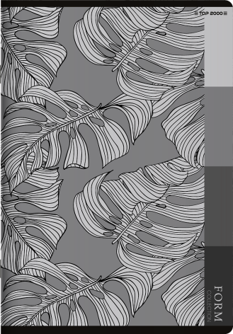 ZESZYT TOP 2000 FORM A5/80K 4 REGISTRY PP KRATKA