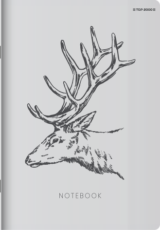 ZESZYT TOP 2000 LINEA A5/60K LINIA Z MARGINESEM