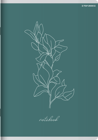ZESZYT TOP 2000 LINEA A4/60K /70G KRATKA Z MARGINESEM