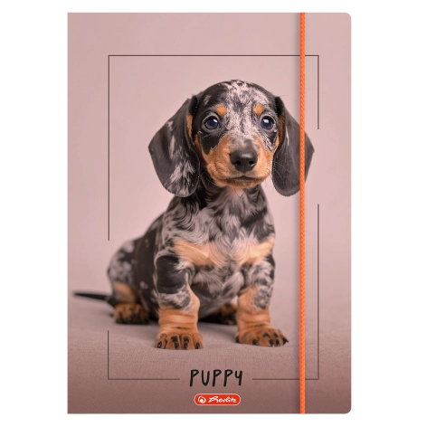 TECZKA Z GUMKĄ TOP 2000 C4