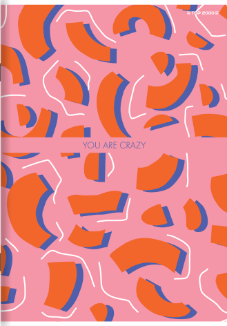 ZESZYT TOP 2000 MEGAMIX A4/60K KRATKA Z MARGINESEM