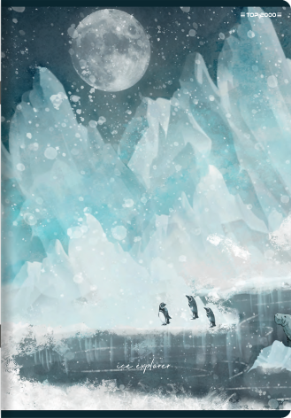 ZESZYT TOP 2000 FOREST/ICE A5/60K LINIA Z MARGINESEM