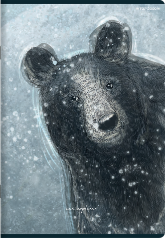 ZESZYT TOP 2000 FOREST/ICE A4/60K KRATKA Z MARGINESEM