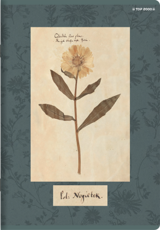 ZESZYT TOP 2000 FLOWERS A5/60K KRATKA Z MARGINESEM
