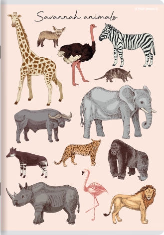 ZESZYT PP TOP 2000 A5/16K KRATKA