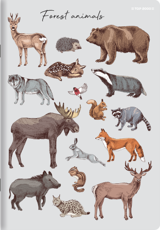 ZESZYT PP TOP 2000 A5/32K LINIA PODWÓJNA KOLOROWA