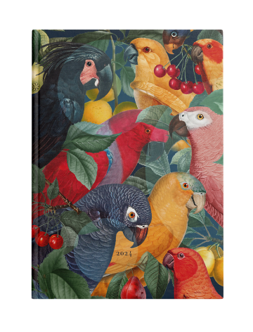 KALENDARZ TOP 2000 UNIVERSAL 2024 A5 DZIENNY