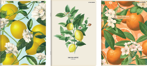 ZESZYT TOP 2000 SUMMER HARVEST CLUB A4/60K KRATKA Z MARGINESEM