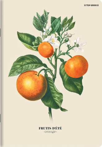 ZESZYT TOP 2000 SUMMER HARVEST CLUB A5/60K LINIA Z MARGINESEM