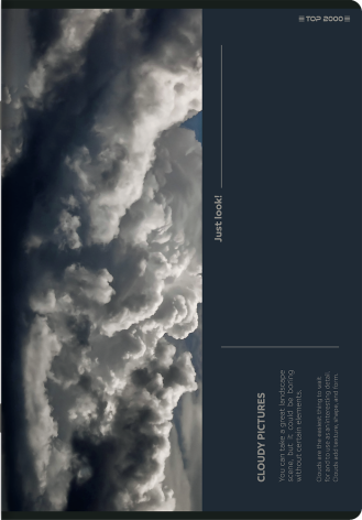 ZESZYT TOP 2000 BIRD'S EYE A5/80K KRATKA Z MARGINESEM