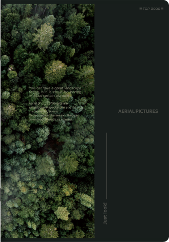 ZESZYT TOP 2000 BIRD'S EYE A5/96K KRATKA Z MARGINESEM