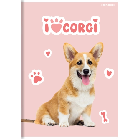 ZESZYT TOP 2000 BASIC A5/32K KRATKA Z MARGINESEM