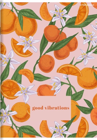 ZESZYT TOP 2000 BASIC A5/96K KRATKA Z MARGINESEM