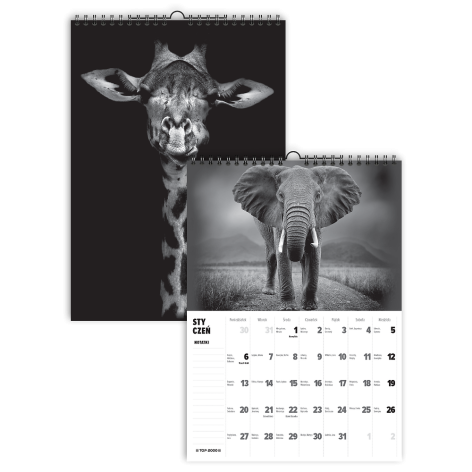 KALENDARZ ŚCIENNY 2025 TOP 2000 WILD A3