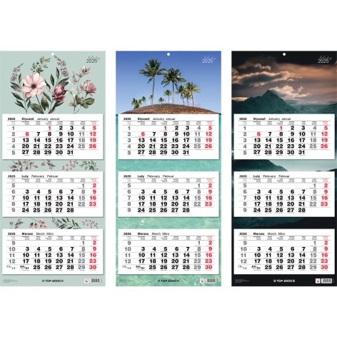 KALENDARZ TRÓJDZIELNY 2025 TOP 2000 MIX 31X70,5 CM
