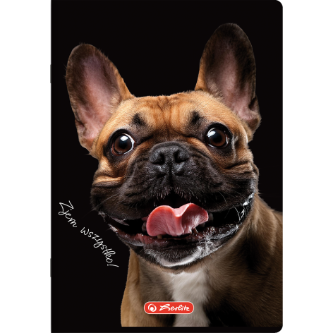 ZESZYT HERLITZ CRAZY ANIMAL A4/60K KRATKA Z MARGINESEM