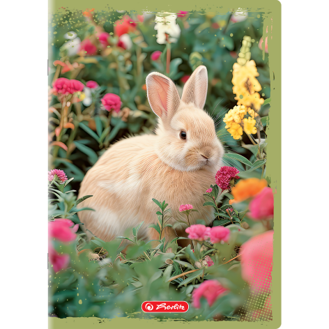 ZESZYT HERLITZ ANIMALS A5/16K LINIA PODWÓJNA KOLOROWA