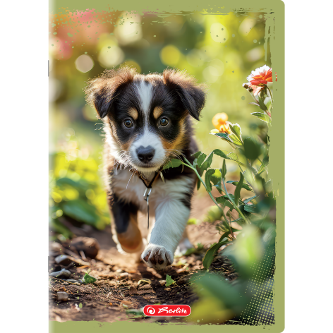 ZESZYT HERLITZ ANIMALS A5/32K KRATKA Z MARGINESEM