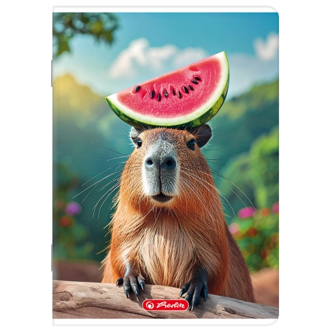 ZESZYT HERLITZ MIX A5/32K LINIA Z MARGINESEM