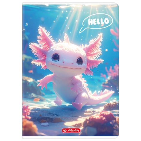 ZESZYT HERLITZ MIX A4/32K LINIA PODWÓJNA KOLOROWA