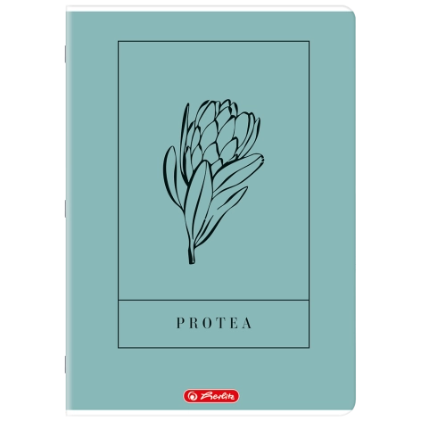 ZESZYT HERLITZ MIX A4/60K KRATKA Z MARGINESEM