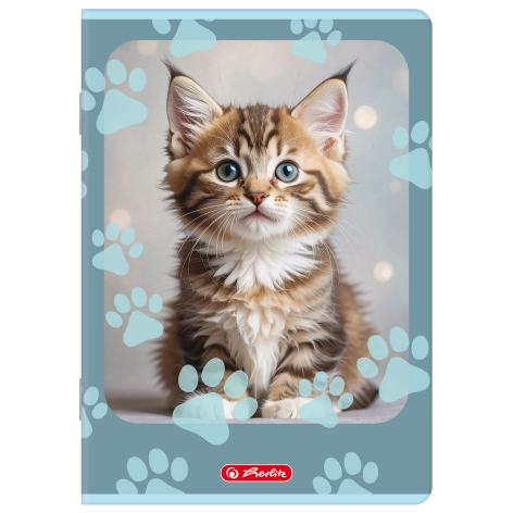 ZESZYT HERLITZ STANDARD ANIMALS A5/32K LINIA PODWÓJNA KOLOROWA