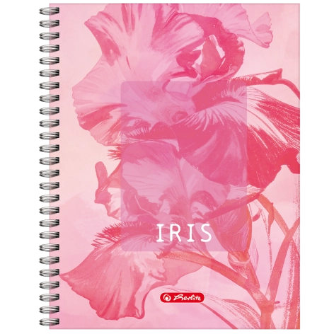 KOŁOZESZYT HERLITZ STANDARD BLOSSOM A4/80K KRATKA