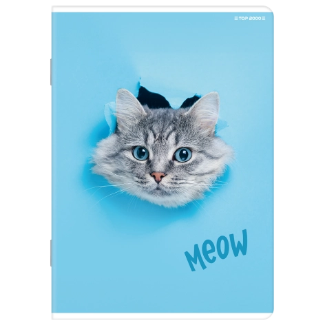 ZESZYT TOP 2000 BASIC A5/16K KRATKA