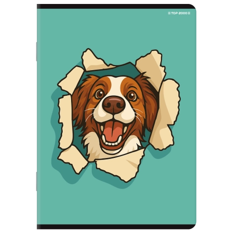 ZESZYT TOP 2000 BASIC A5/16K LINIA PODWÓJNA KOLOROWA