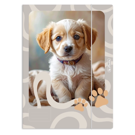 TECZKA Z GUMKĄ HERLITZ ANIMALS A4